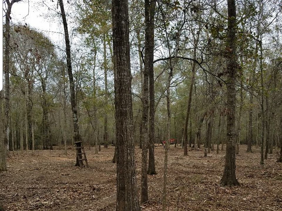2nd image of 6460 Forest Trail Cir