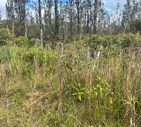 3rd image of 16-2035 Road 6 Lot 4315