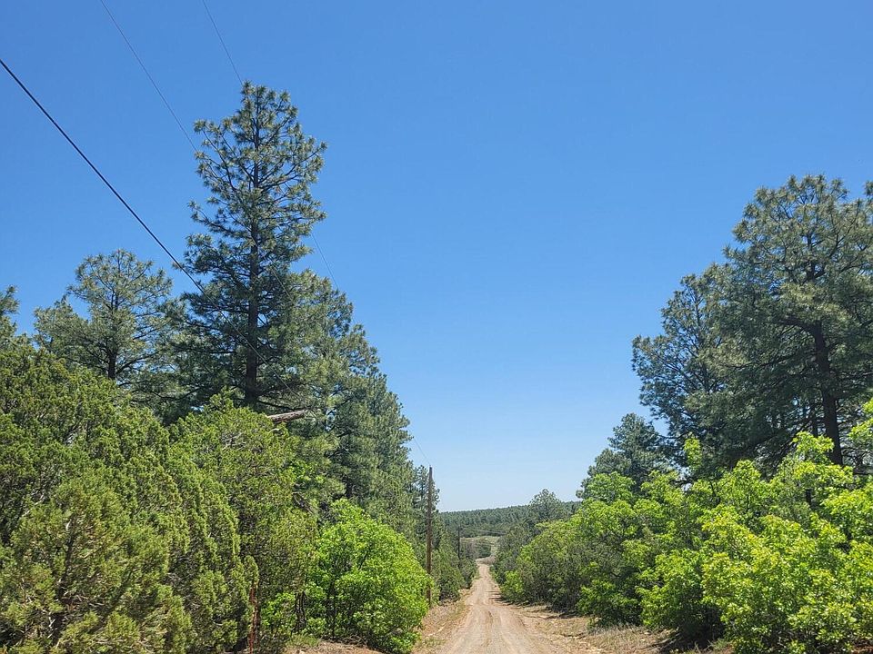 1st image of 10269 State Highway 337