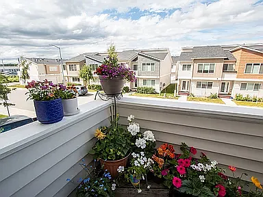 11377 Conquistador Dr — Photo 22