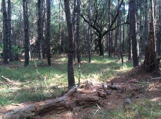 1214 Wilson Rd, Townsend, GA 31327