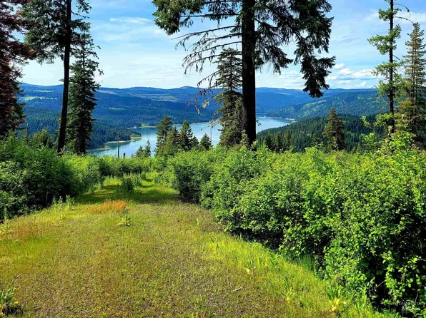 86 Moon River Ln, Orofino, ID 83544