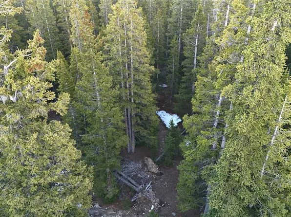 252 Silverheels Place, Fairplay, CO 80440