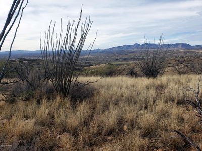1344 Avenida Gutierrez #60-RIO, Rio Rico, AZ, 85648