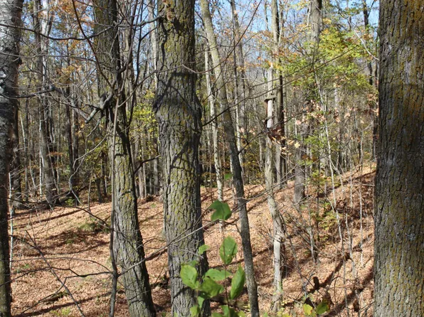 Woods Rd, Isle, MN 56342