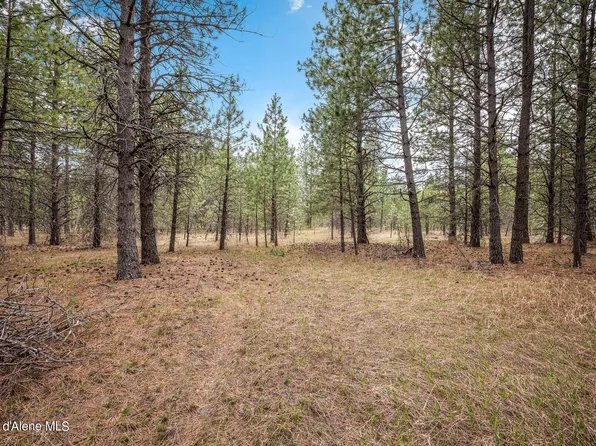 Nka East Hwy #54, Athol, ID 83801