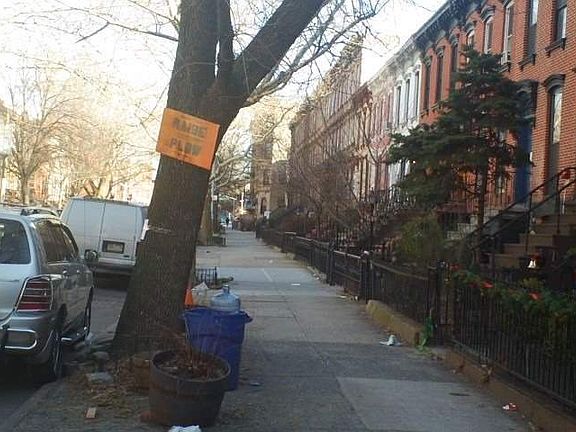 4th image of 346 Halsey St