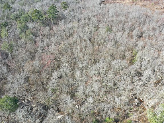 12th image of this home