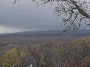 317 Deer Ridge Rd, Bowie, TX 76230