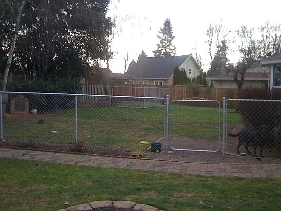 Fenced back yard