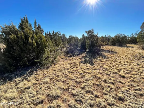 8371 HAVEN CREST Drive #230, Happy Jack, AZ 86024