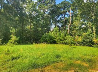 618 Forest Glen Dr, Montgomery, TX 77316