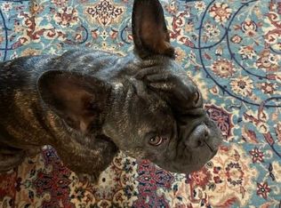 4718 Winona Ave, San Diego, CA 92115