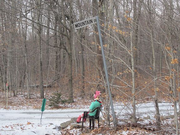5th image of LOT-408A Little Billy Ln