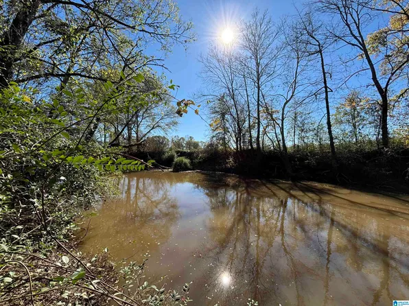 0 Canoe Dr, Ashville, AL 35953