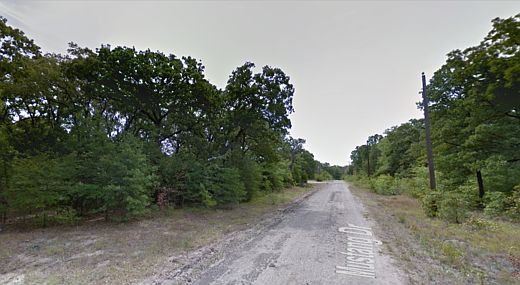 2nd image of 246 Mustang Dr