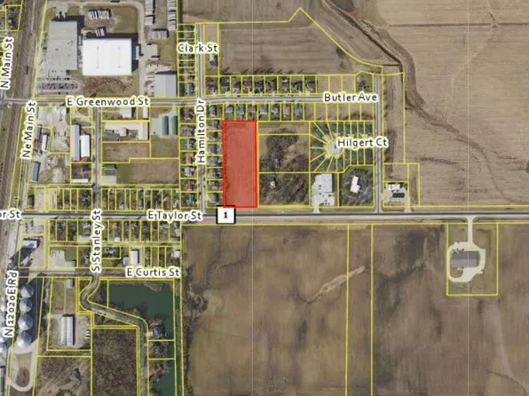 320 E Taylor St, Grant Park, IL 60940