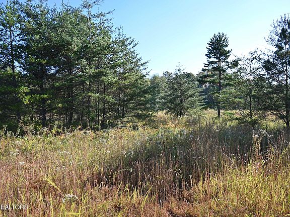 3rd image of 0 Highway 70 W Lot 1