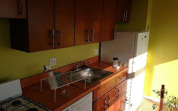 4th image of 1324 Spruce St #1902