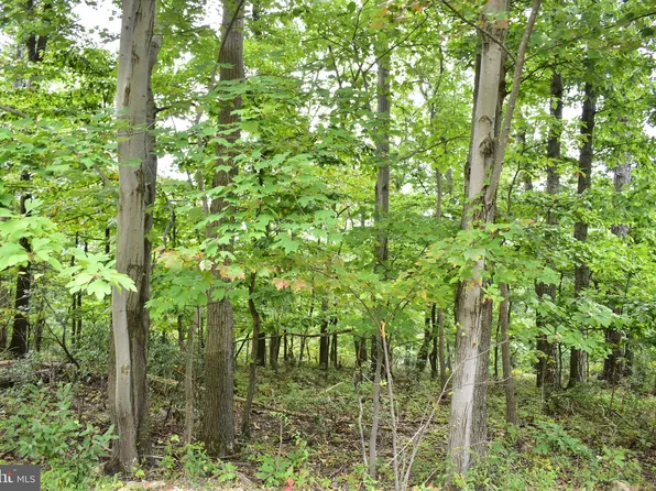 17 Fox Ct, Winchester, VA 22603