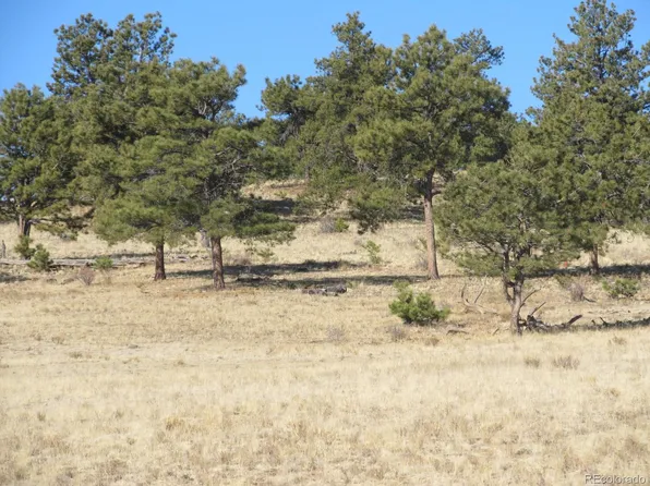 5105 Hohokan Trail LOT 5105, Hartsel, CO 80449