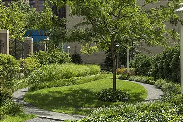 Rented by Triumph Property Group