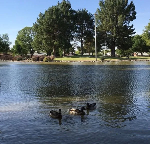Lake at the park