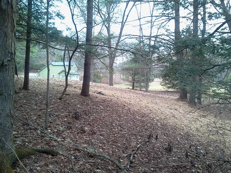 259 John Joy Rd #HOME — Photo 2
