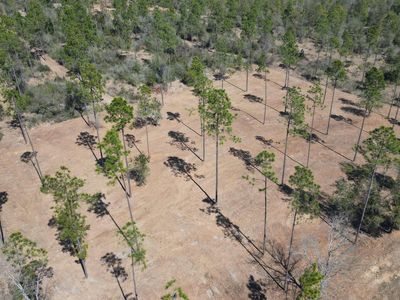 0 Archie Rd, Elberta, AL, 36530