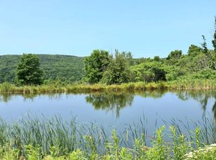 0 Russell Hill Rd LOT 2-DIX, Beaver Dams, NY 14812
