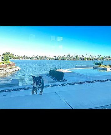 4th image of 799 Shoreside Dr