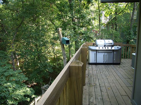 Private Wooded backyard