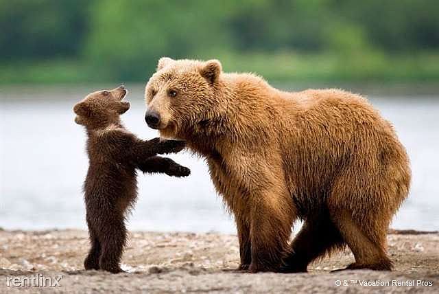 Grin and bear it