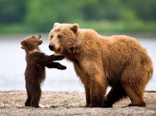 4039 Wears Cove Rd, Sevierville, TN 37862