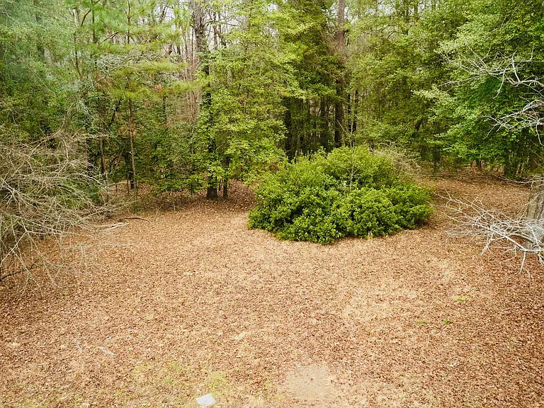 6001 Brown Swiss Way — Photo 3