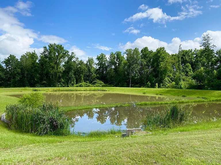 315 Bridgehaven Dr — Photo 4