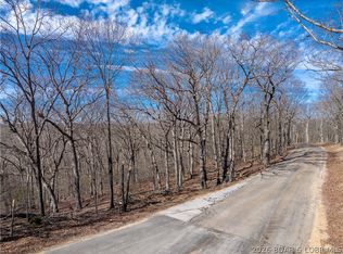 LOT 1A Skywater Rd #D, Gravois Mills, MO 65037