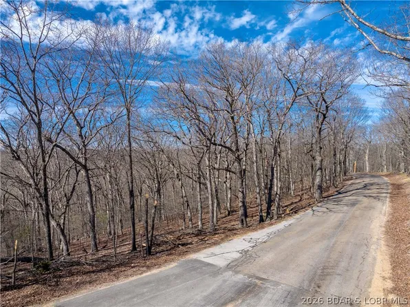 LOT 1A Skywater Rd #D, Gravois Mills, MO 65037