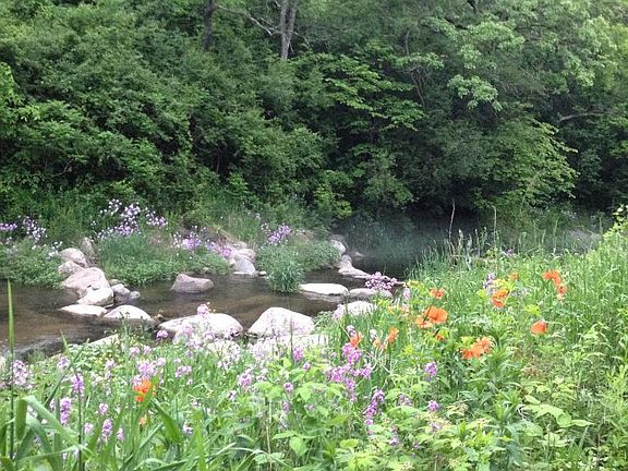 3rd image of 14020 Valley Creek Trl S