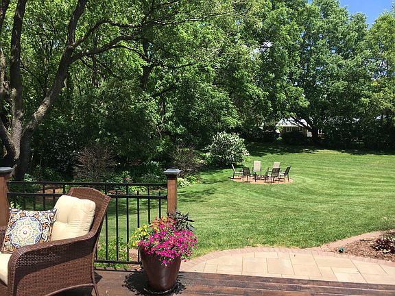 Beautiful mature trees 