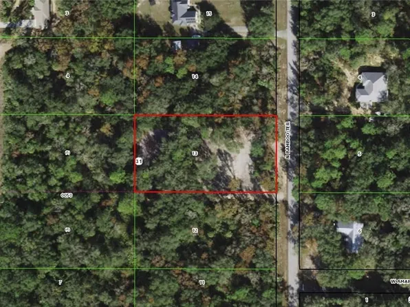 8224 N Bamboo Ter, Crystal River, FL 34428