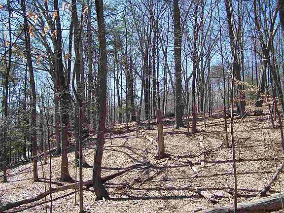 2nd image of LOT 3 Degraff St