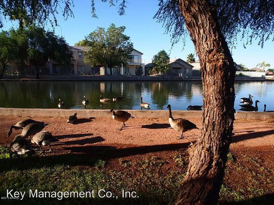 3 bed, 1364 sqft, $1,850 — Photo 4