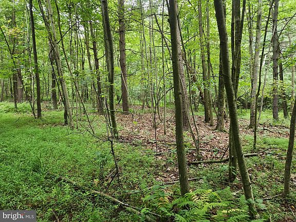 4th image of LOT Knotty Pine Ln