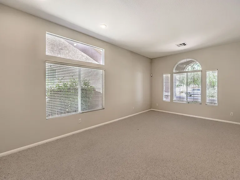 3713 Spring Shadow Rd — Photo 7