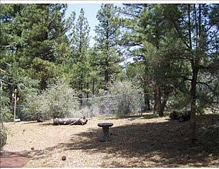 5th image of 1140 Ash Ln