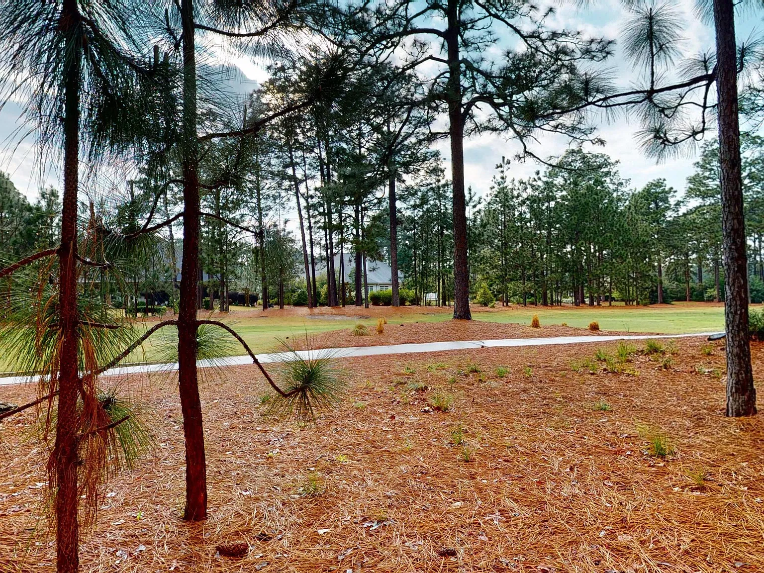 4 bed, 4.0 bath, 2902 sqft, $3,950 — Photo 4