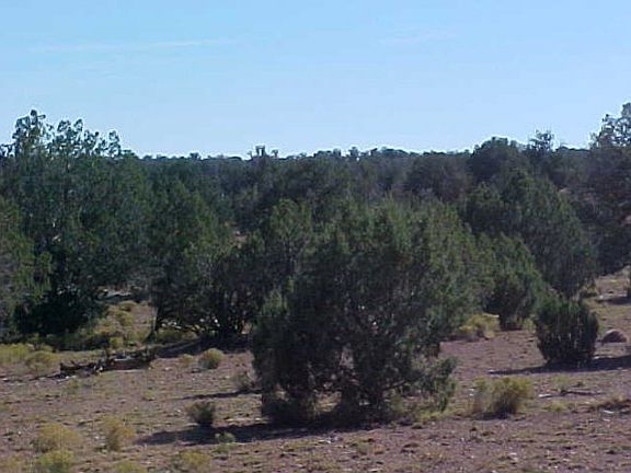 4th image of 0 N Antelope Dr