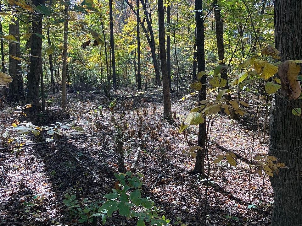 2nd image of 0 Poplar Lane Rd