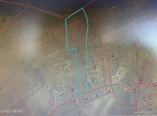 341 Sugar Run Rd, Beech Creek, PA 16822